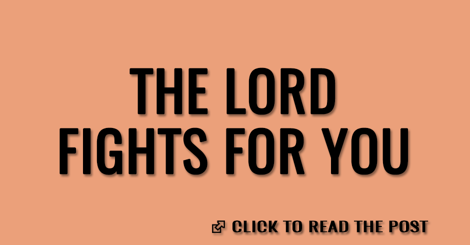 The Lord fights for you