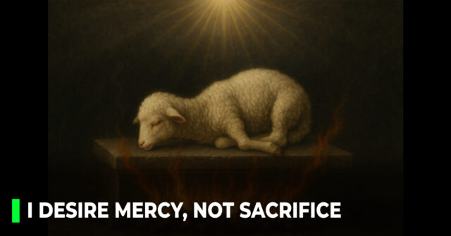 I desire mercy, not sacrifice