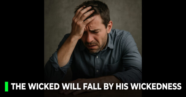 The wicked will fall by his wickedness