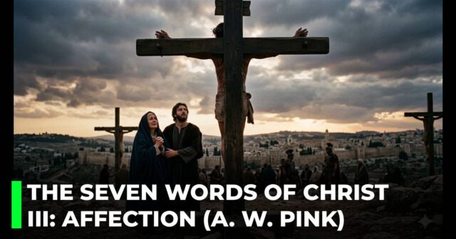The seven last words of Christ on the cross. III_ The word of affection